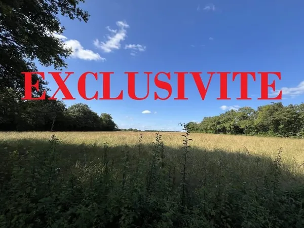 Terrain agricole sur la commune de Mouhet