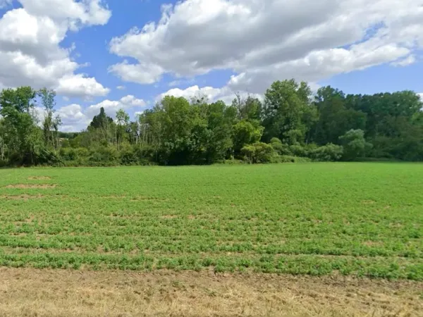 Terrain 906 m²