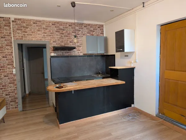 Appartement T2 - 33 m² - Terrasse 25 m² + cave centre ville