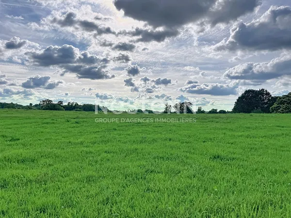 Terrain à vendre de 2 045 m² à Sadroc - Vue dégagée sur la campagne