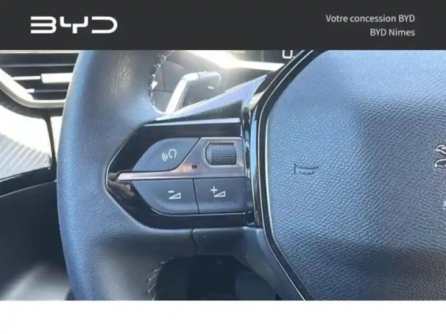 Peugeot 2008 1.5 bluehdi 130ch s&amp;s allure eat8 — photo 8