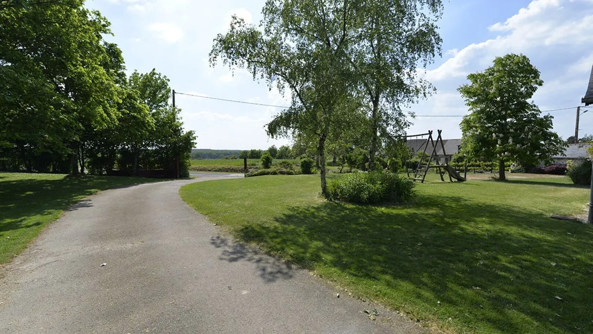 Photo 5