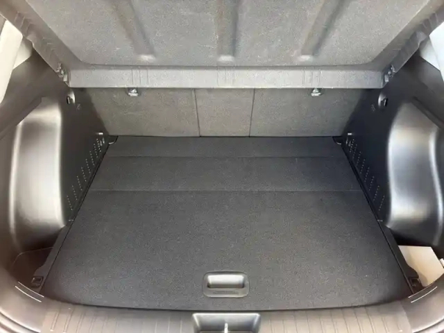 Hyundai Kona 1.0 t-gdi 100 — photo 19