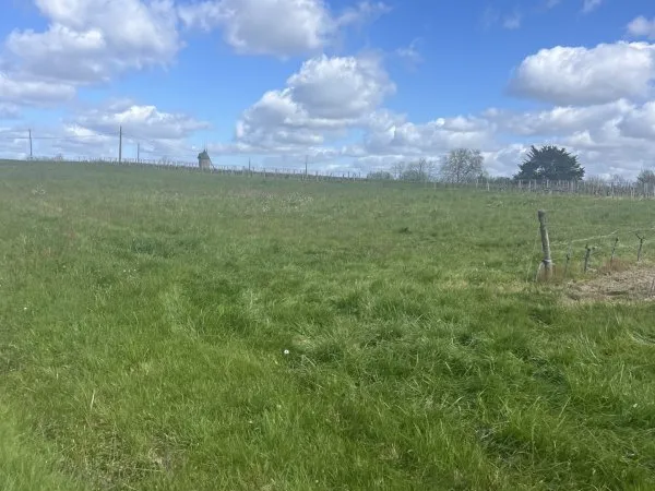 Terrain 3770 m²