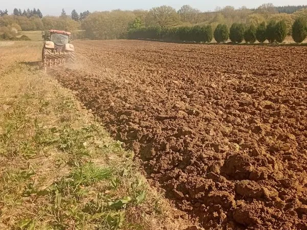 Parcelle 20 hectares