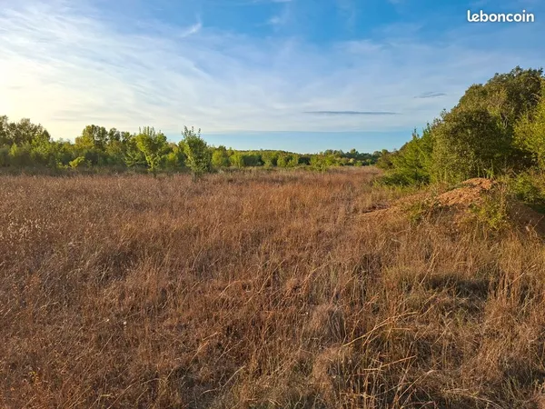Terrain agricole 55 600 m²