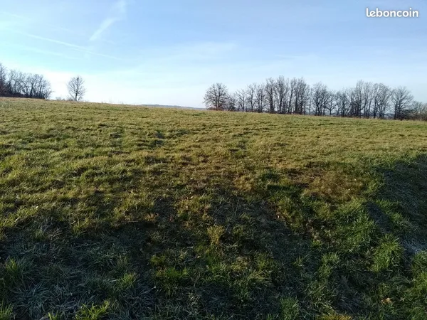 Terrain agricole