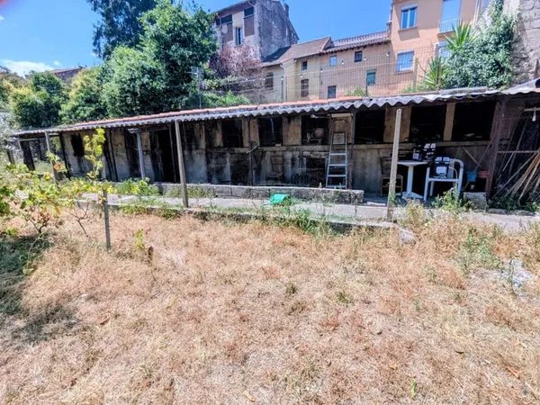 Terrain plat et arboré