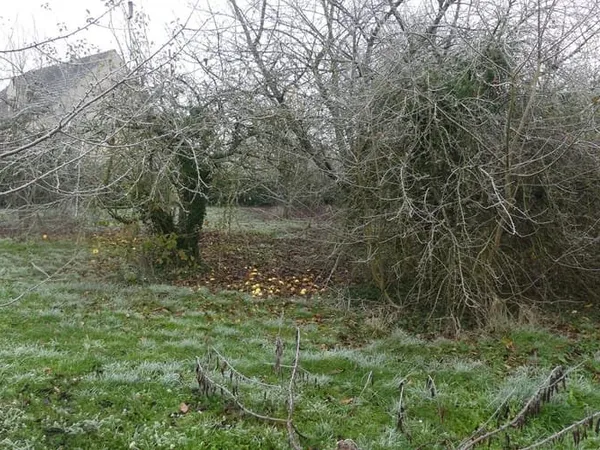 Terrain 766 m²