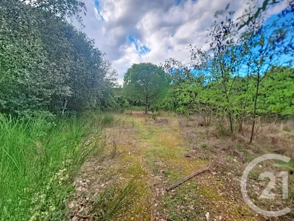 Terrain 8484 m²