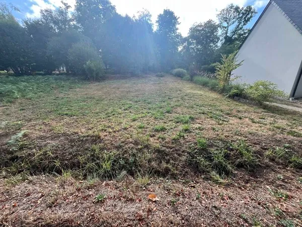 Terrain 1155 m²