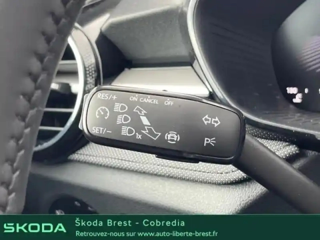 Skoda Fabia 1.0 tsi evo2 116ch clever edition dsg7 — photo 14