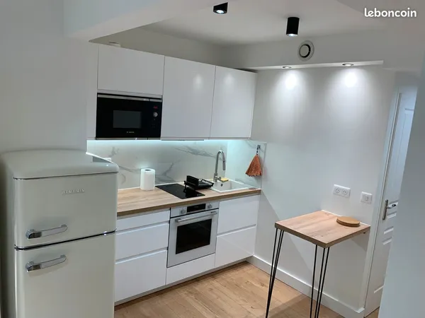 Location meublée - Studio rénové avec jardin, Nogent-sur-Marne