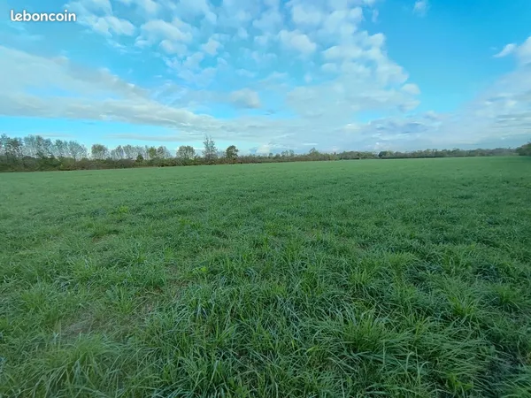 Vente terre agricole