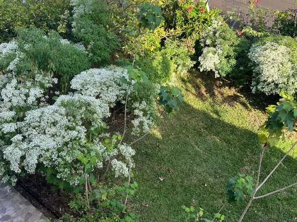 Haut de villa T4 107 m² - Trinité