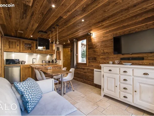 Appartement Style Chalet - Terrasse - Vendu Libre ou avec Bail Commercial