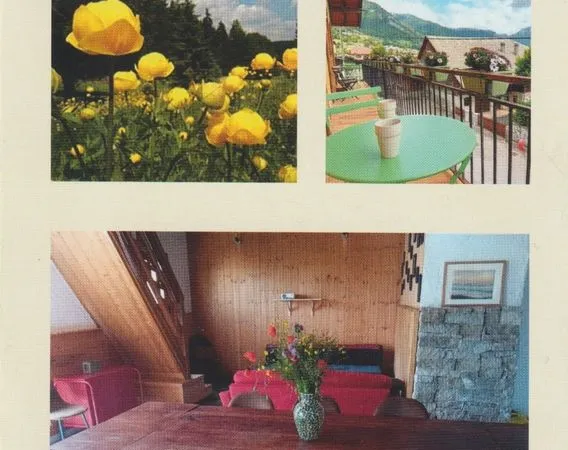 Grand duplex ensoleillé à 20 min d'Evian