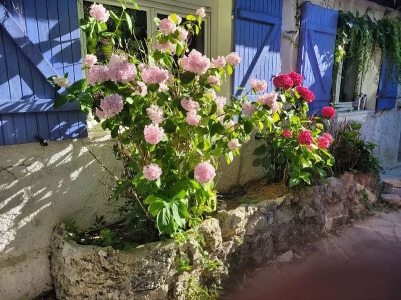 Photo 2