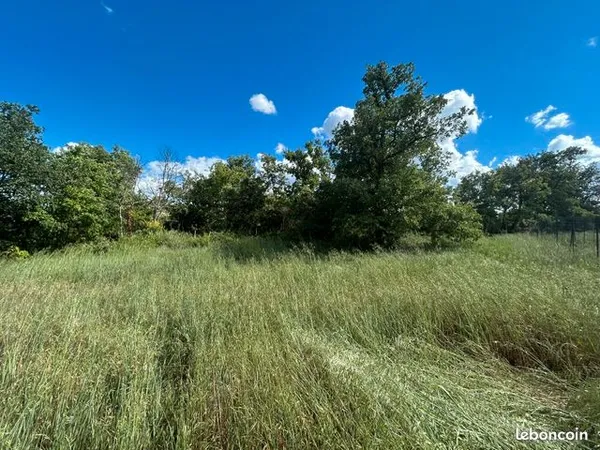 Terrain 2 122 m² Saint Maximin La Sainte Baume