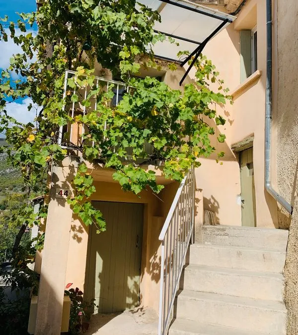 Photo 7