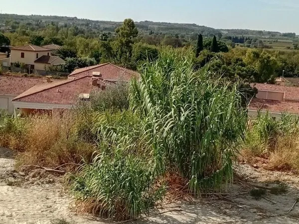 MAGNIFIQUE TERRAIN