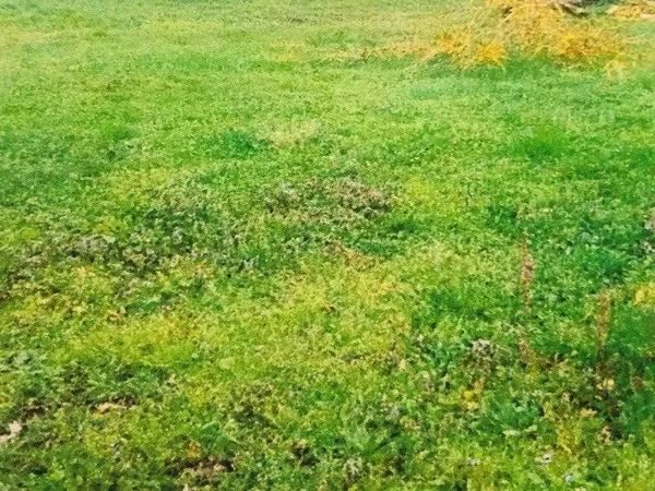 Terrain 524 m² Heric