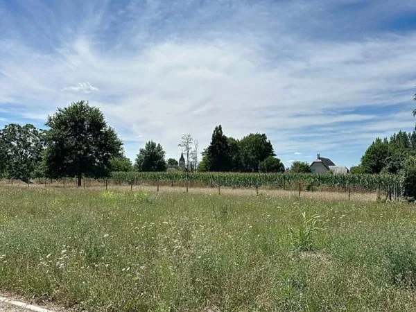 Terrain à bâtir Vente Laloubère   83500€