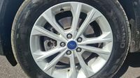 Ford Kuga 1.5 TDCi 120ch Stop&Start Executive 4x2 Powershift — photo 11