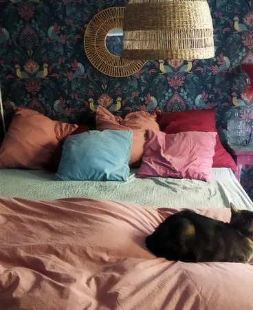 Chambre à louer