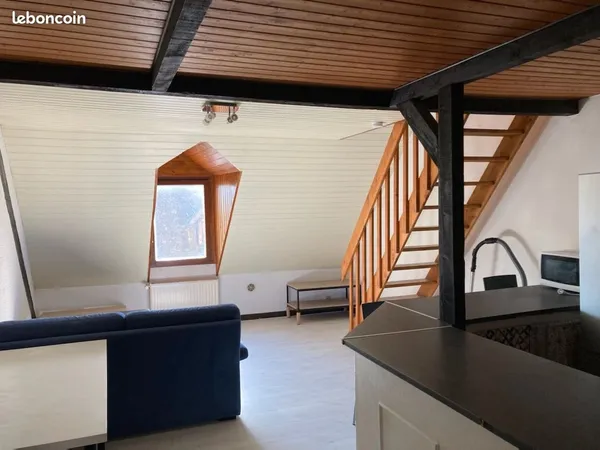 Appartement hyper centre ville 45m2