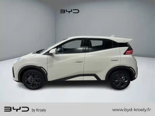 Byd Dolphin surf comfort 115 kw — photo 2