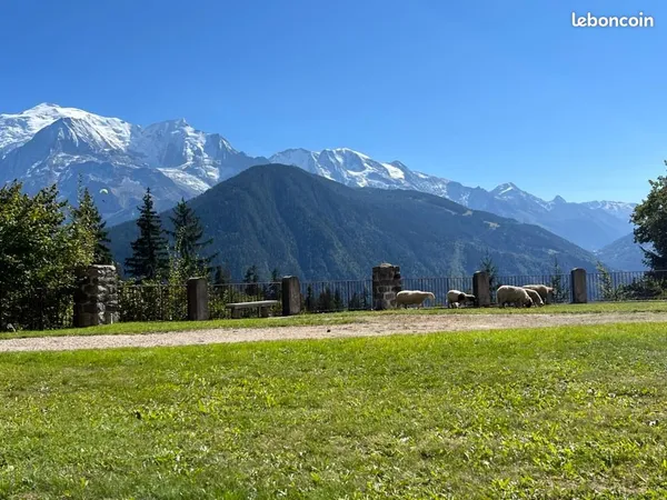 Appartement 3 pièces - Passy - Vue dégagée sur le Mont-Blanc