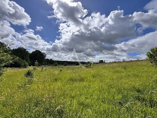 Terrain 24666 m²