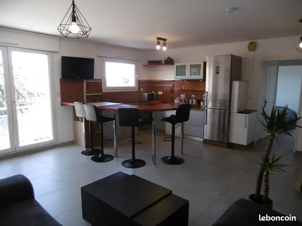 Appartement Location Saint-Étienne 2p 48m² 674€
