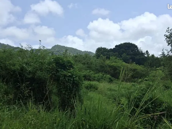 Terrain 1 134 m² Trois Rivieres
