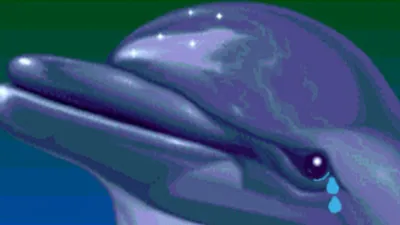 Ecco the Dolphin