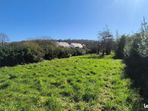 Terrain constructible Telgruc-sur-mer 1500m²