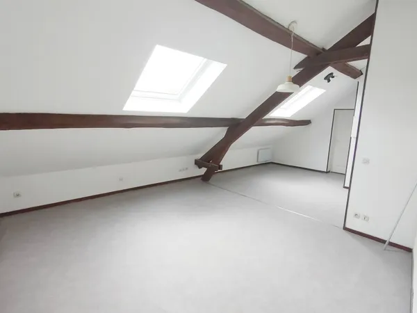Studio 1 pièce 46 m²