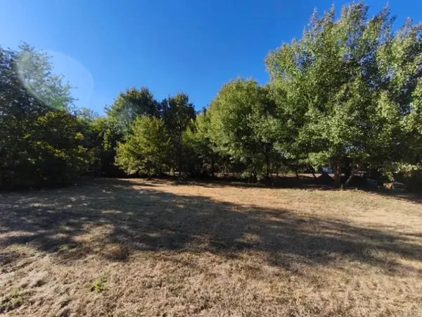 Terrain 731 m²