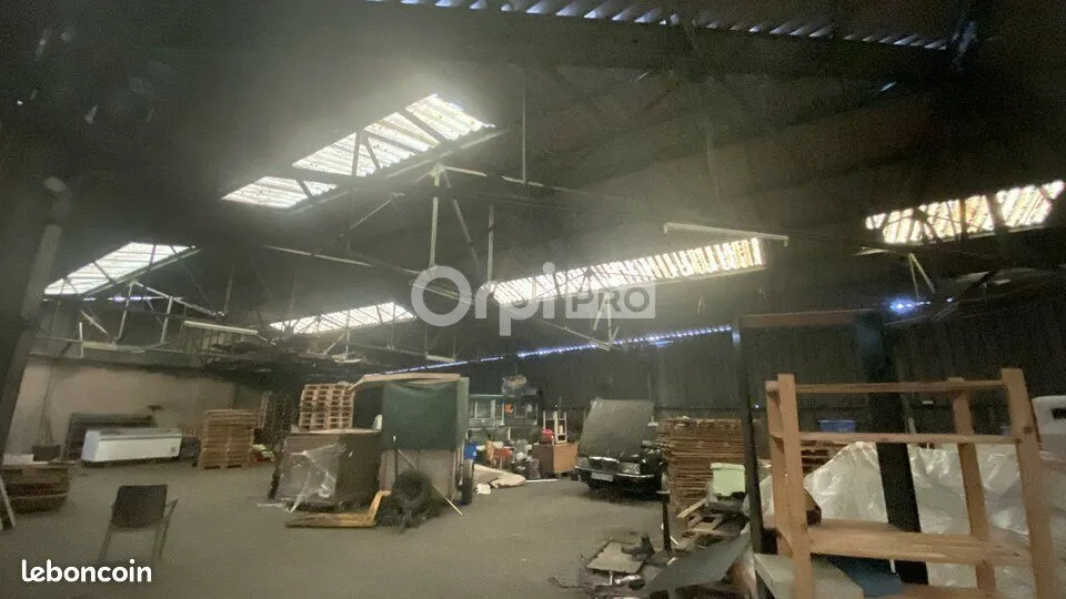 Photo 4