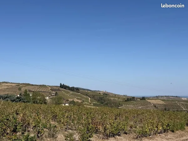 Terrain 821 m² Chiroubles