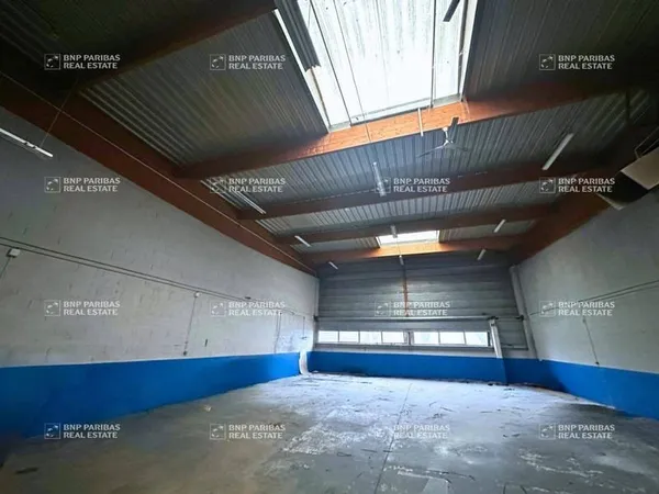 Local d'activité 1245 m²