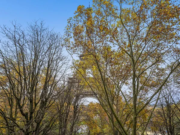 EXCLUSIVITÉ - Paris 7e - Champ de Mars - Vue Tour Eiffel - 5