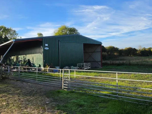 Local commercial 387 m²