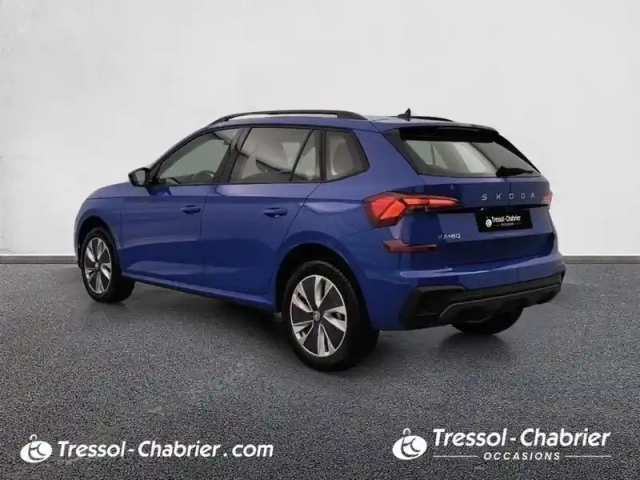 Skoda Kamiq 1.0 tsi evo 2 116 ch dsg7 clever edition — photo 30