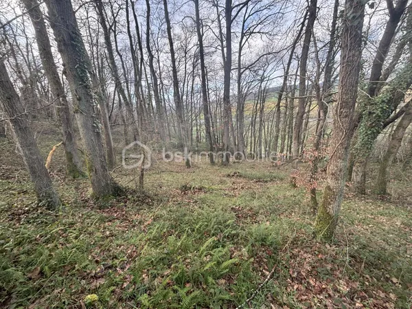 Terrain 24810 m²