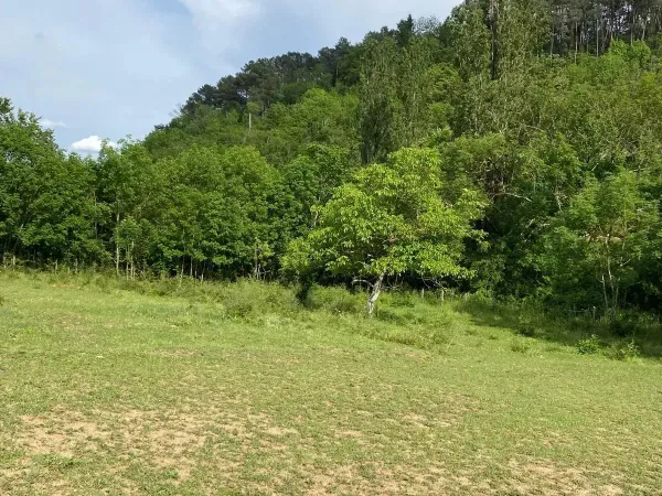 Terrain constructible