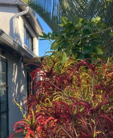 Ensemble immobilier avec vue mer, deux logements et accès indépendants
