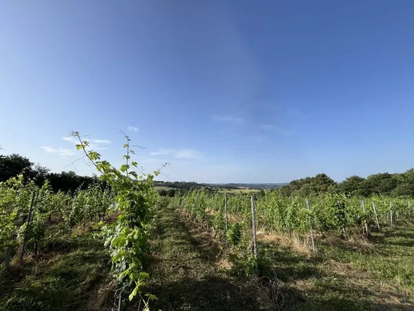 Bien agricole et foncier Vente Puy-d'Arnac  20000m² 35000€