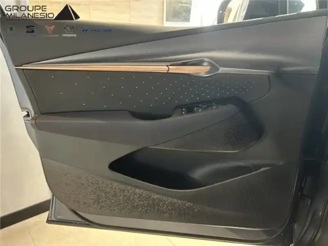 Cupra Tavascan 340 ch 4drive — photo 11